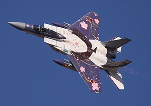 特別塗装されたF-15