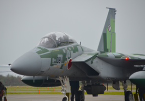 迷彩塗装のF-15アグレッサーが地上で待機する様子